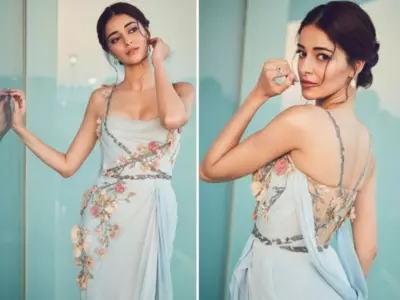 Post Liger, Ananya Panday Is Prepared To Make Her OTT Debut With Karan's Production 'Call Me Bae'