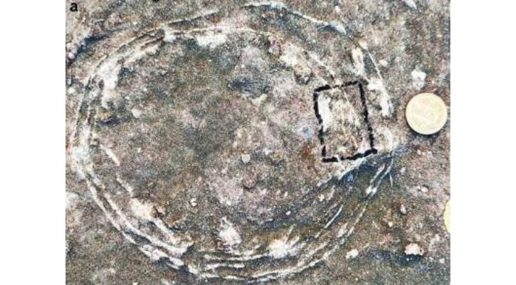 For The First Time, Dinosaur Egg Found Inside Another Egg In India: All You Need To Know