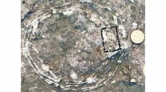 For The First Time, Dinosaur Egg Found Inside Another Egg In India: All You Need To Know