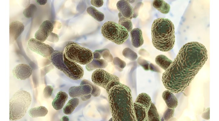 인도 연구원, 항생제를 사용하지 않고 박테리아를 죽이는 새로운 치료법 개발