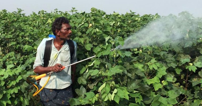 This Nano Sensor Can Detect Pesticide Use On Fruits In Just A Few Minutes