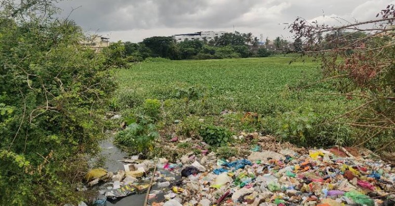 Konanakunte Lake Is Dying A Silent Death, Bengaluru Civic Body Says ...