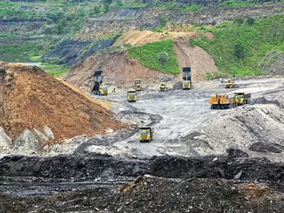 No Mining, Or Factories Within 1-km Buffer Zone Of National Parks, Sanctuaries: Supreme Court