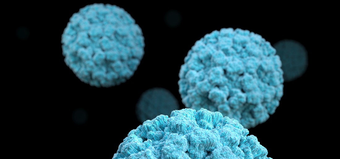 explained-what-is-norovirus-and-how-dangerous-is-it