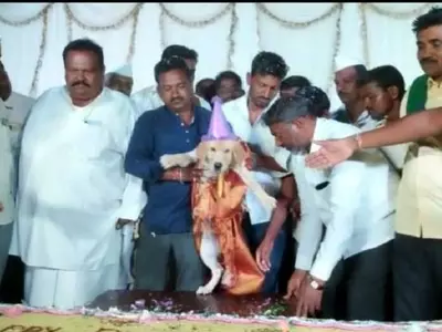 karnataka man celebrates dog bday with 100 kg cake 