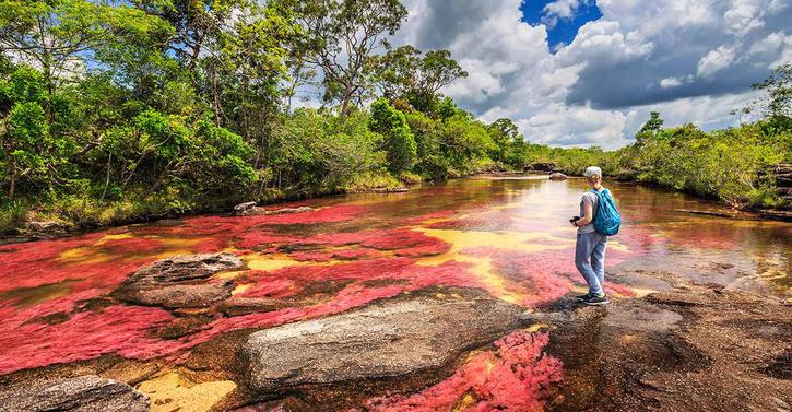 Cano Cristales