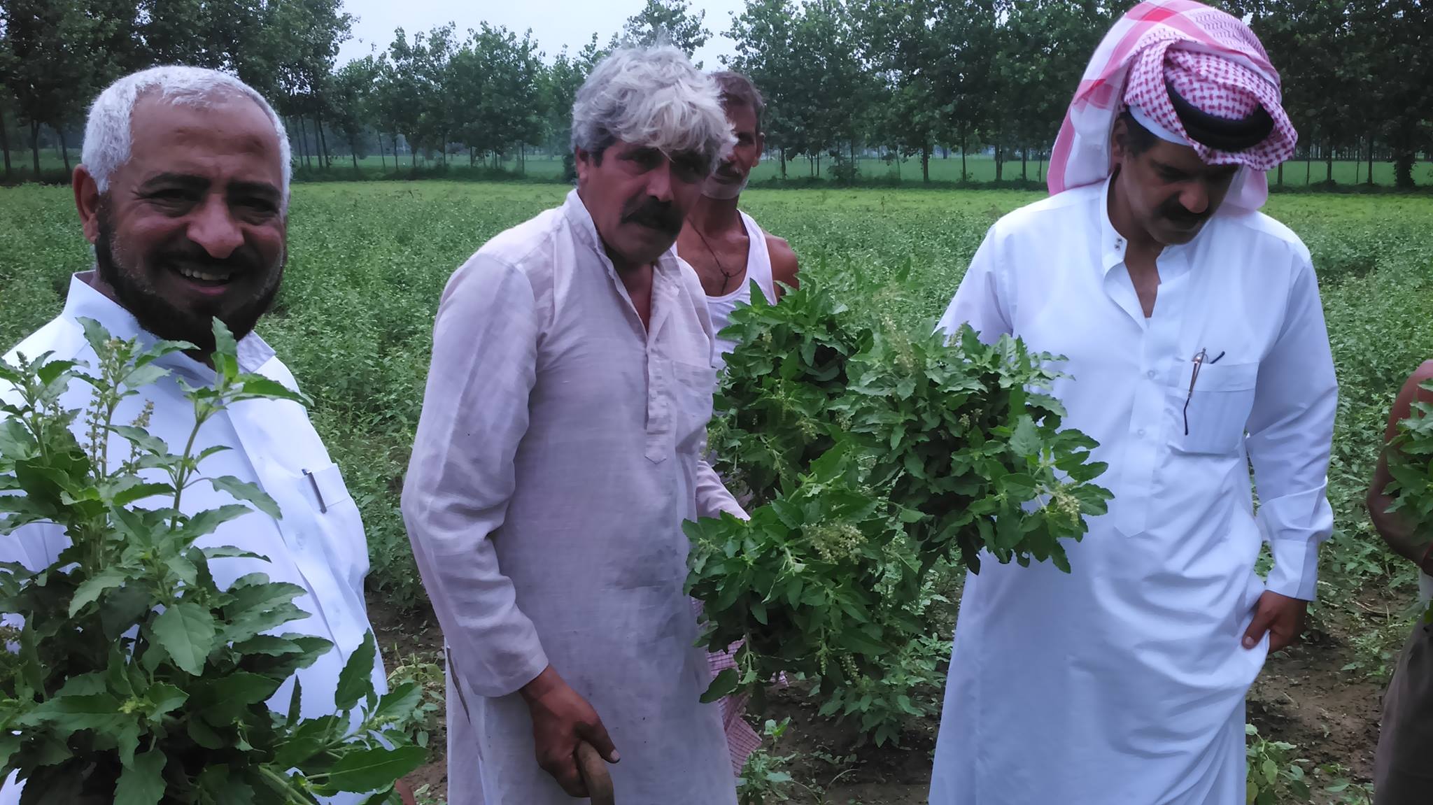 Success Story Of Dharambir Kamboj, From A Rickshaw Puller To A