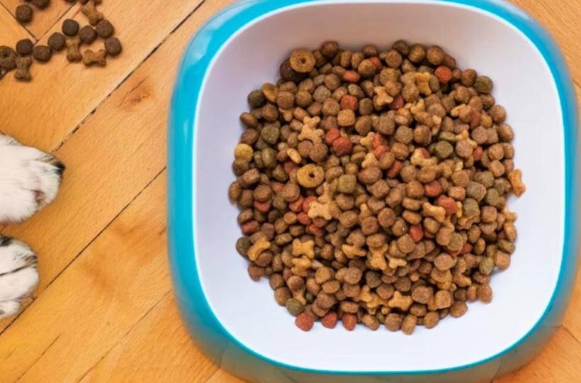 Student Eats Dog Food For Breakfast, Lunch & Tea To Save Money