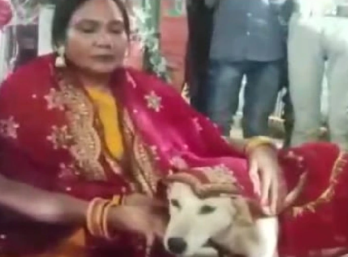 Dog wedding bihar 