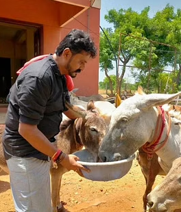 Srinivas Gowda Donkey Farming 