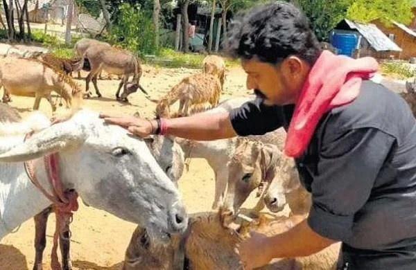 Srinivas Gowda Donkey Farming 