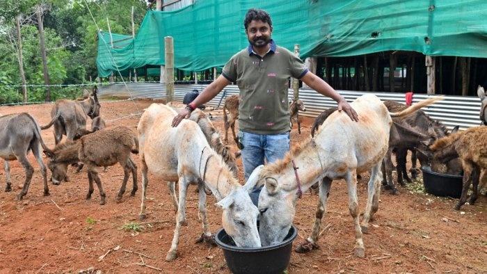 Srinivas Gowda Donkey Farming 