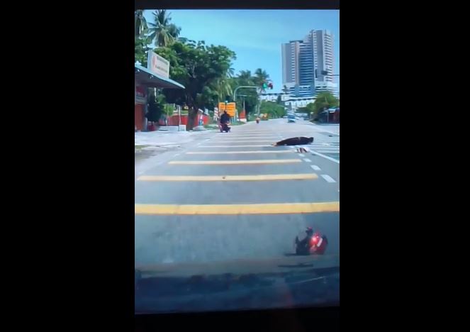 Woman Gets Hit On The Head With A Coconut