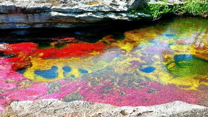 Cano Cristales