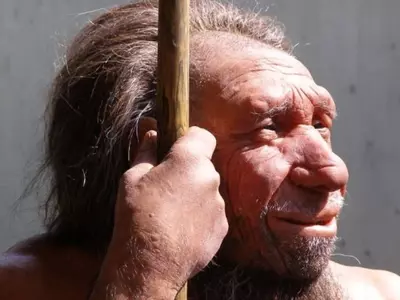 neanderthals vs homosapien, neanderthals pronunciation, did neanderthals speak, why did neanderthals go extinct, neanderthal lifespan, neanderthal height, neanderthal species, were neanderthals smarter