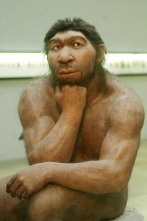neanderthals vs homosapien, neanderthals pronunciation, did neanderthals speak, why did neanderthals go extinct, neanderthal lifespan, neanderthal height, neanderthal species, were neanderthals smarter