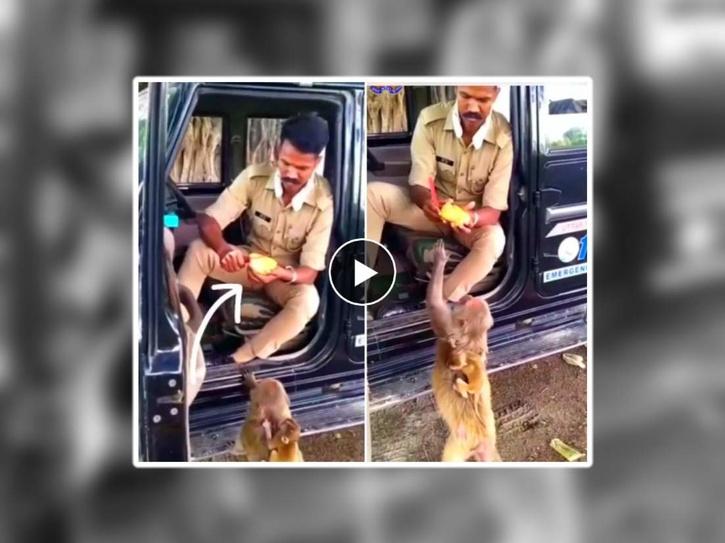 Video of police constable feeding mango to monkey went viral