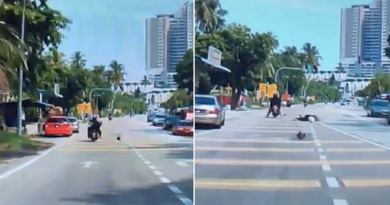 Woman Gets Hit On The Head With A Coconut