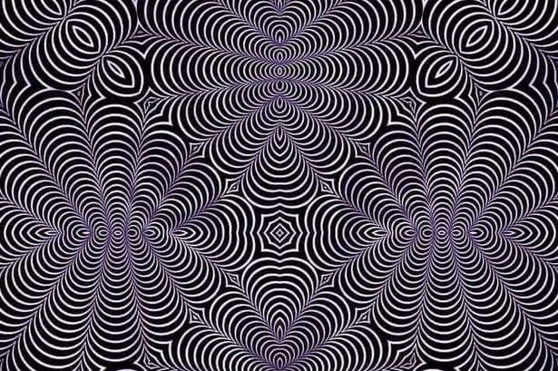 optical illusions two pictures in one