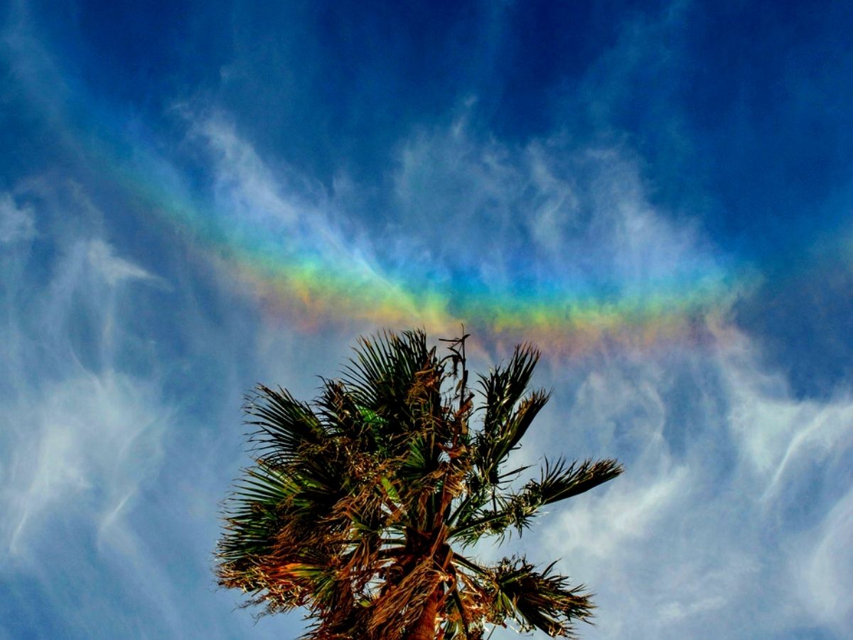 Belgravia Pretty Rainbow Wallpaper Clouds Sky Childrens Kids