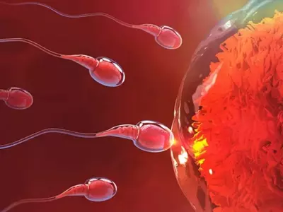 Global decline in sperm count 