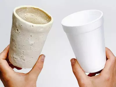 styrofoam biodegradable