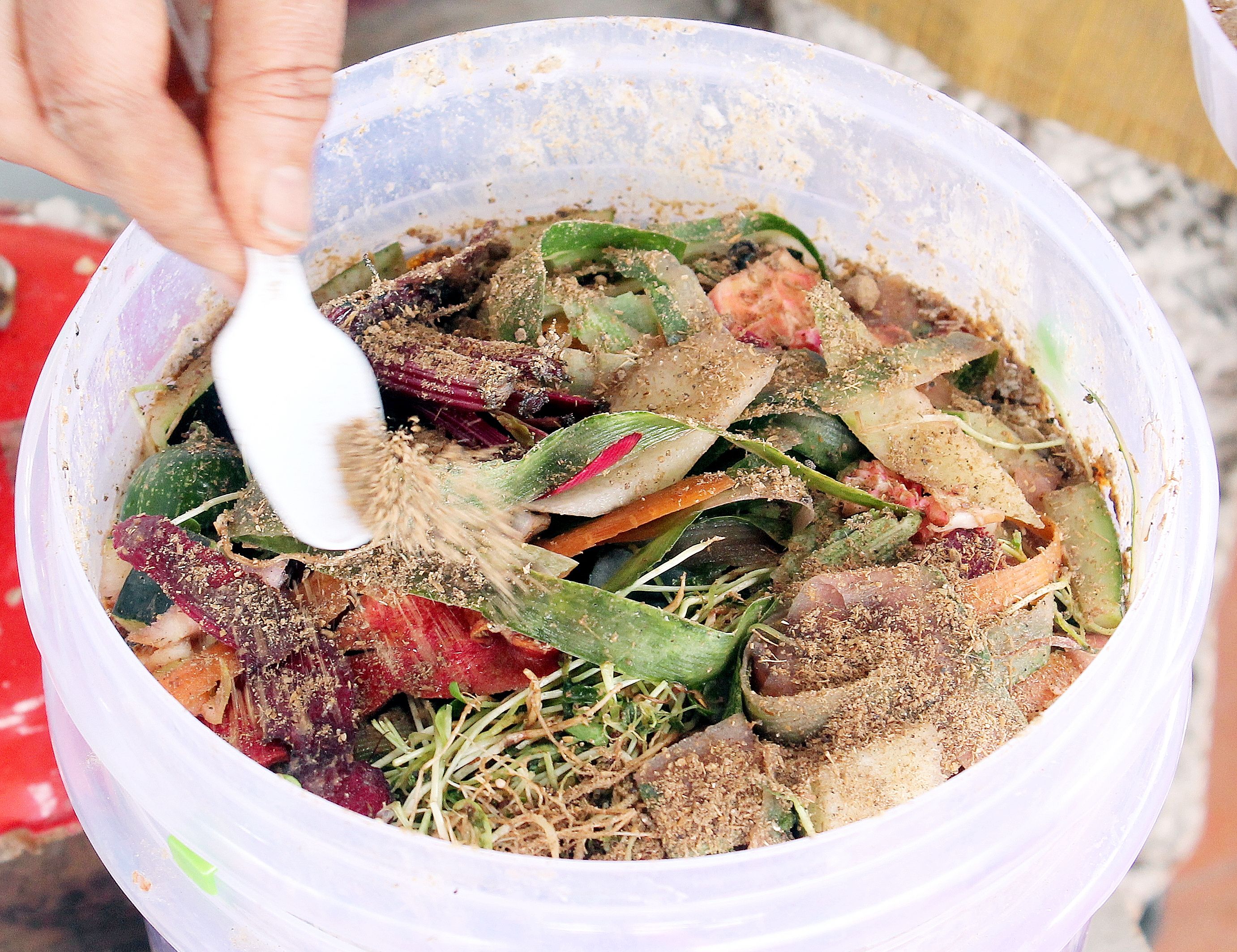 Convert Kitchen Waste Into Compost in Just 48 Hours