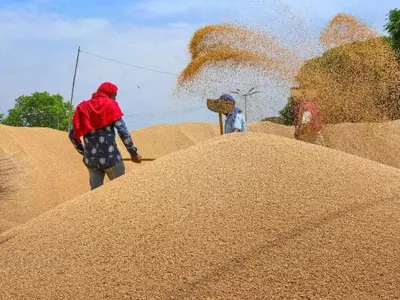 India Has Eliminated Extreme Poverty Through Country's Food Security Programme, Says IMF Report