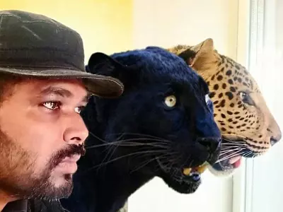 Indian Doctor Refuses To Leave Ukraine Without His Two Pet Panthers