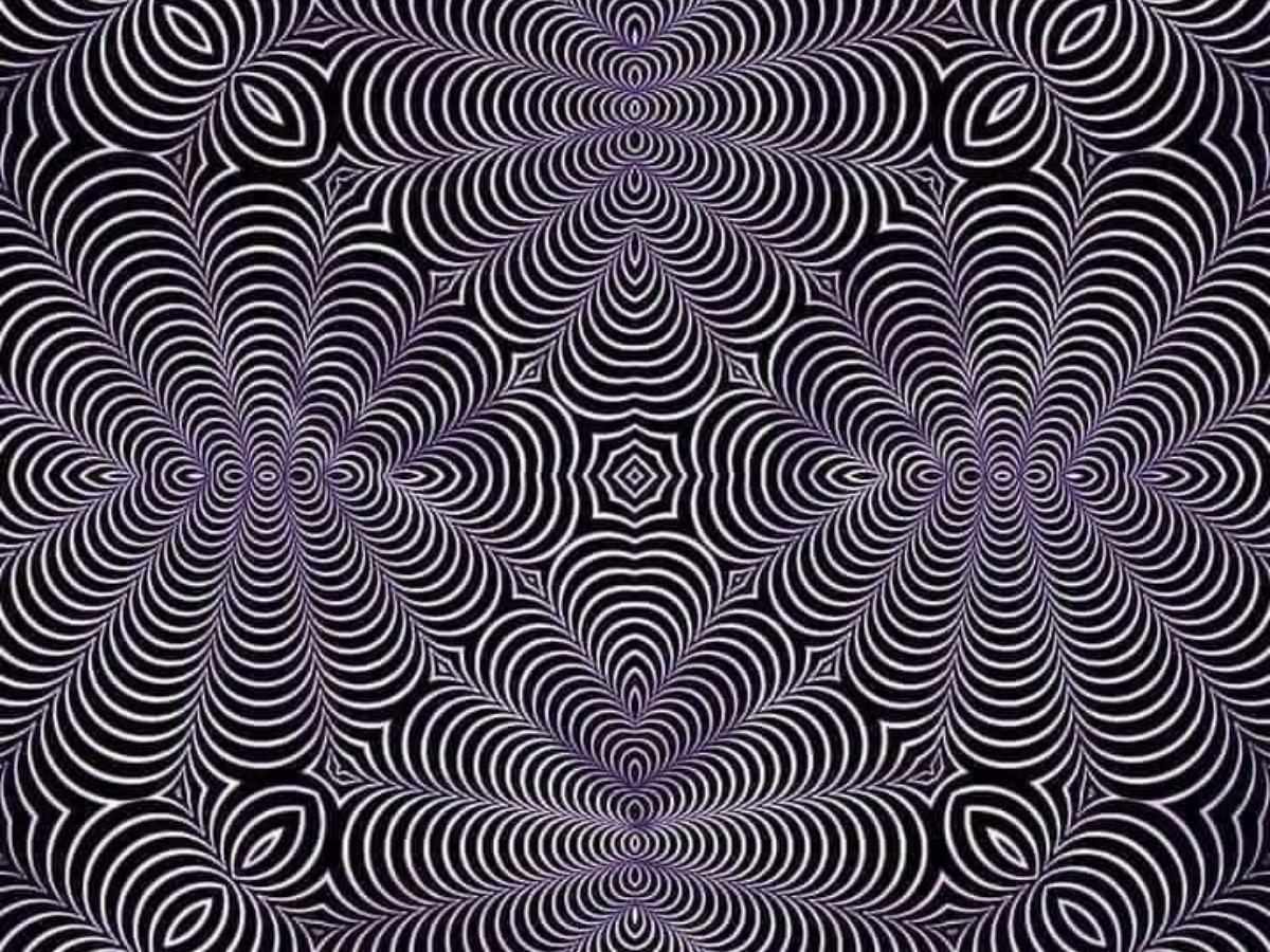 optical illusions hidden