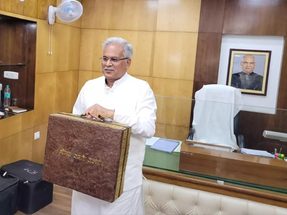cow dung briefcase cow dung briefcase