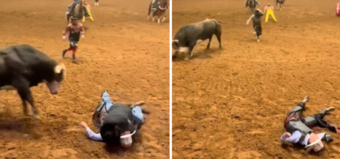 Hero Dad Saves Son From Raging Bull In Texas