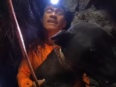 hawaiian vlogger rescues dog trapped 25 feet inside active volcano 