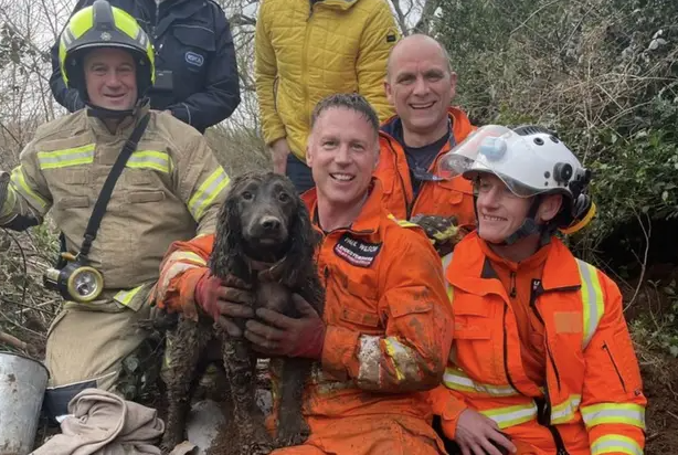 Firefighters Rescue Dog Trapped Underground For 60 Hours