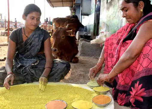 chattisgarh ritesh agarwal makes bags slippers colors from cow dung 