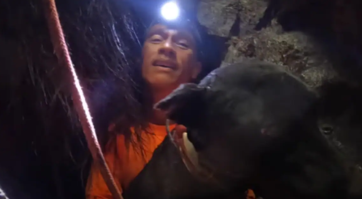 Hawaiian adventurer saves dog stuck inside active volcano 