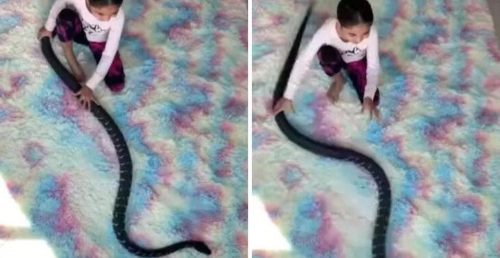 Gadis kecil dengan santai bermain dengan python  
