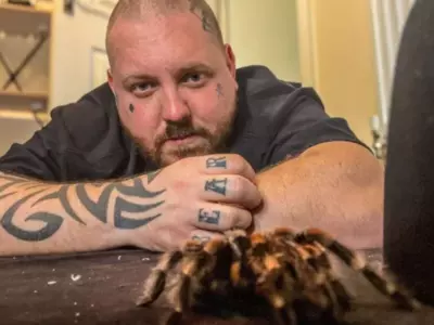 man lives with 120 tarantulas says its good for his mental health 