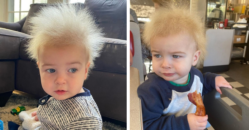 Bad hair day Uncombable hair syndrome traced to gene mutations  Science   AAAS