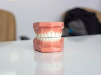Teeth