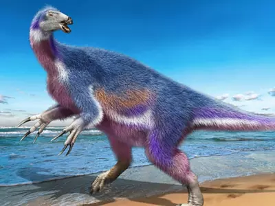 New Plant-Eating Dinosaur Species Discovered In Fossils In Hokkaido, Japan
