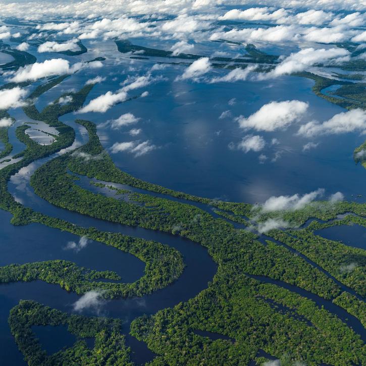 Amazon River