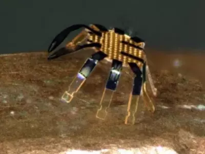 World's Smallest Remote-Controlled 'Crab Robot' May Be Used To Perform Surgeries