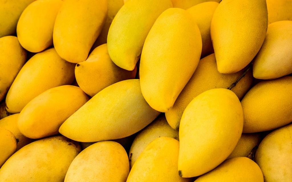 mango: A heat wave's lamented victim: The mango, India's king of fruits -  The Economic Times