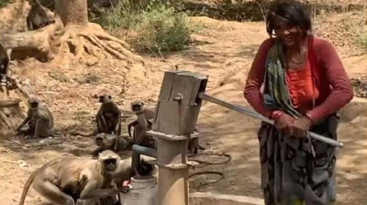 Raani urf Kushma serving Monkeys 