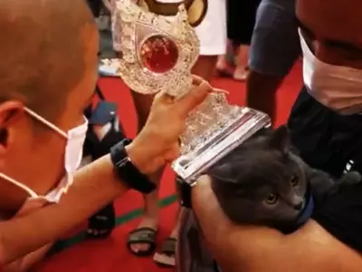 Monks Meet Pet Animals To Bless Them On Buddha Purnima In Singapore