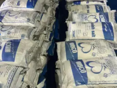cocaine worth 500 crores seized at Mundra Port 