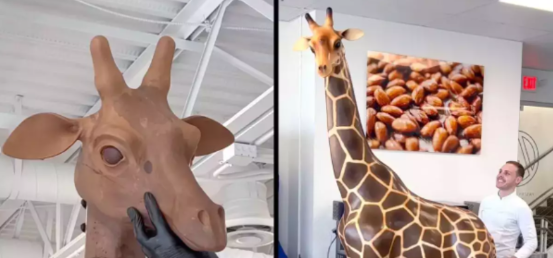 Giraffe Made Out Of Chocolate Wins