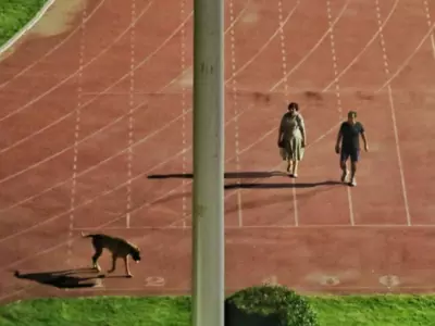 IAS Officer asks athletes to leave stadium to walk dog 