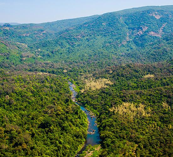 Bhimgad Wildlife Sanctuary